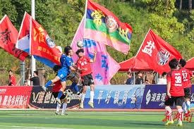 北京国安队遭遇河南队失利分析